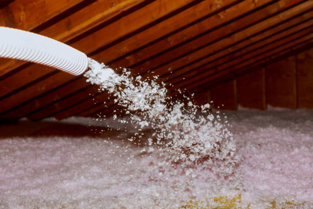 Best Insulation Installation Services in Olathe, CO